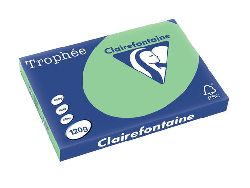 Clairefontaine Trophée Pastel, gekleurd papier, A3, 120 g, 250 vel, natuurgroen 5 stuks, OfficeTown