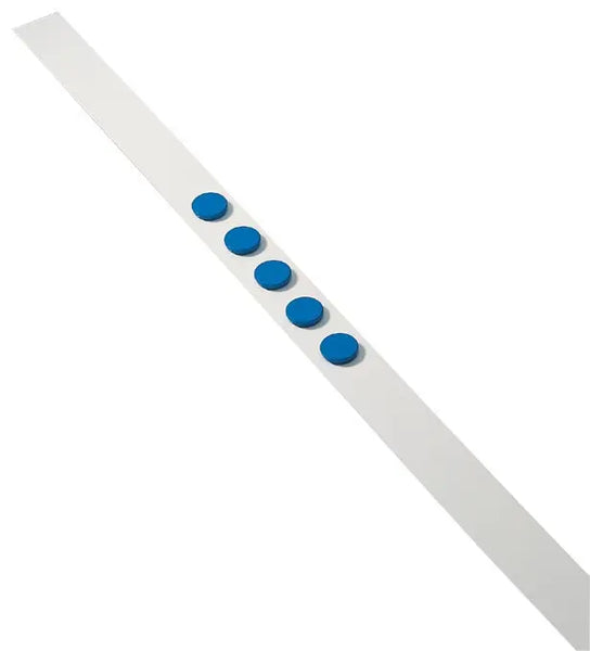 Dahle muurlijst van 1 m, met 5 blauwe magneten diameter 32 mm