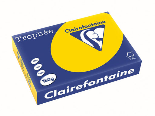 Clairefontaine Trophée Pastel, gekleurd papier, A4, 160 g, 250 vel, goudgeel 4 stuks, OfficeTown