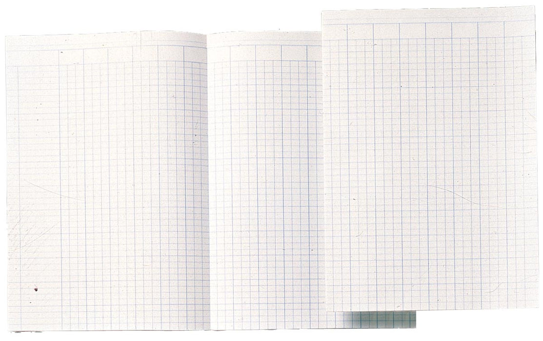 Accountantspapier Atlanta by Jalema A4-formaat, opengevouwen tot 29,4 x 41,4 cm met 90 g/m² papiergewicht