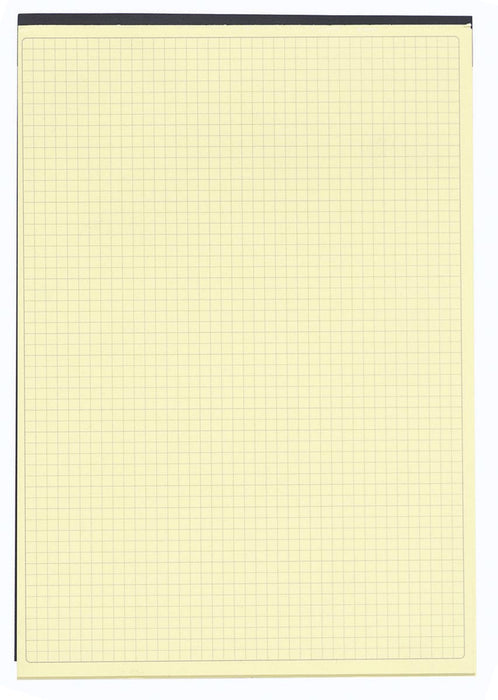 Exacompta notitieblokken, ft 29,7 x 21 cm, Zwart, geel papier, 70 vellen, geruit Q5