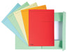 Exacompta dossiermap Foldyne ft 24 x 35 cm (voor ft folio), geassorteerde kleuren, doos van 25 stuks 4 stuks, OfficeTown
