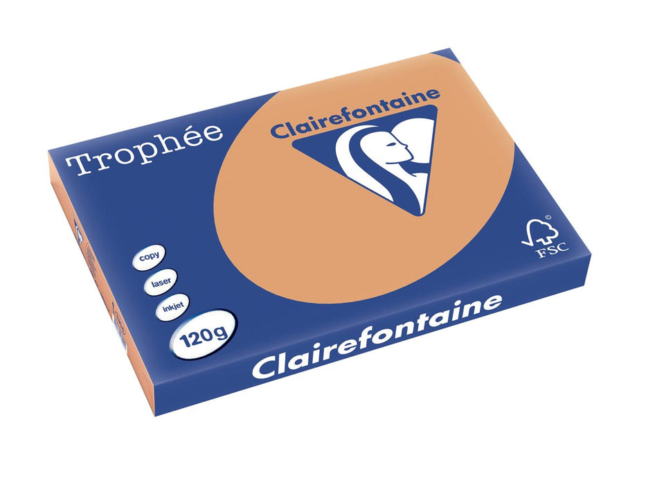 Clairefontaine Trophée Pastel, gekleurd papier, A3, 120 g, 250 vel, mokkabruin