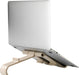 R-Go Treepod laptop- en tabletstandaard R-Go tools