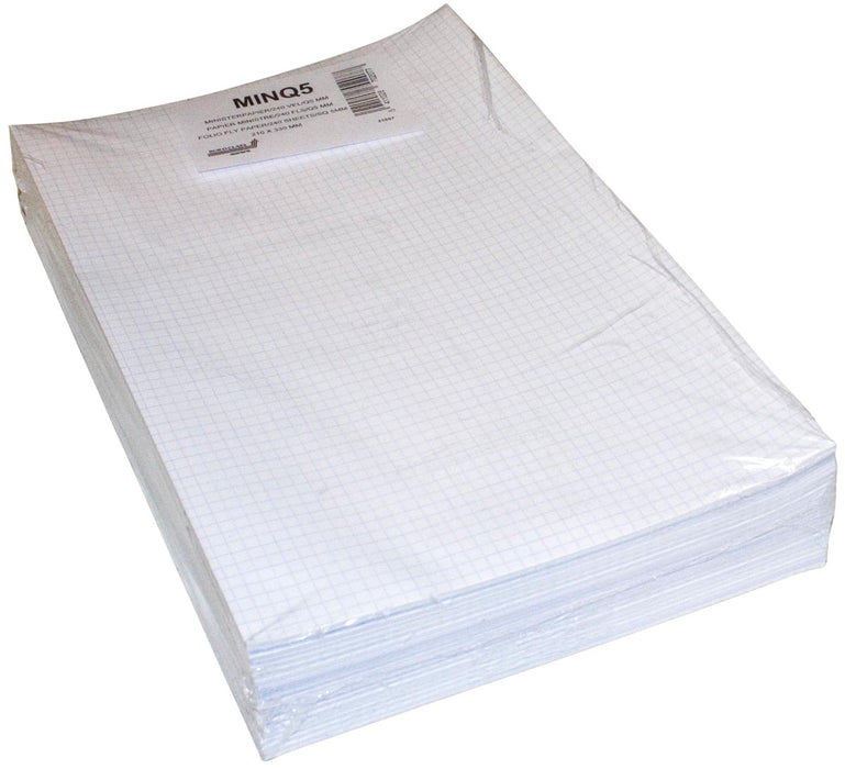 Ruitjespapier 5 mm, 80 g/m², ft folio, 21 x 33 x 5 cm, per riem
