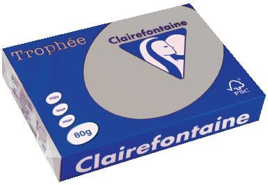 Clairefontaine Trophée gekleurd papier, A4, 80 g, 500 vel, lichtgrijs 5 stuks, OfficeTown