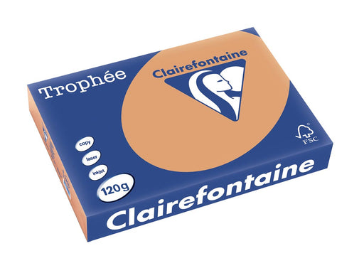 Clairefontaine Trophée Pastel, gekleurd papier, A4, 120 g, 250 vel, mokkabruin 5 stuks, OfficeTown