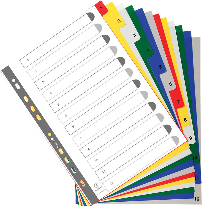 Exacompta numerieke tabbladen voor A4-formaat, gemaakt van PP 12/100e, 12 kleurtabs, met indexblad, wit