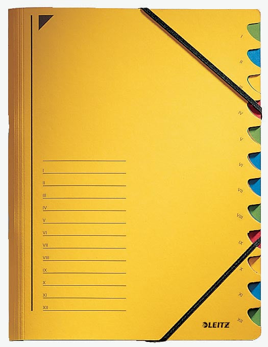 Leitz bureaumap, karton, A4 formaat, 12 tabbladen, geel