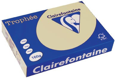 Clairefontaine Trophée Pastel, gekleurd papier, A4, 160 g, 250 vel, gems 4 stuks, OfficeTown