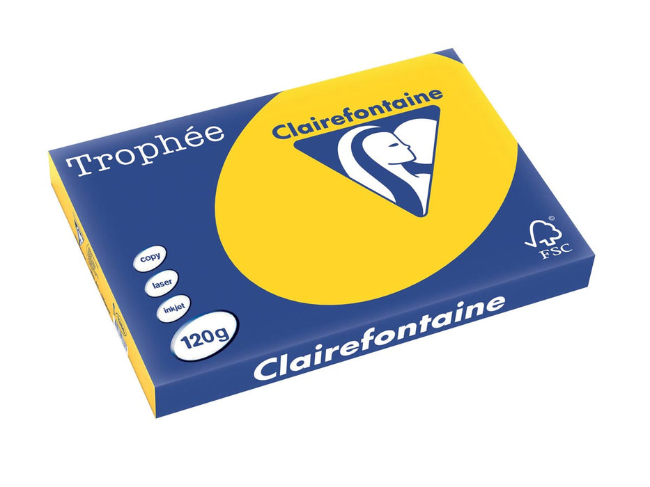 Clairefontaine Trophée Pastel, A3 Gekleurd Papier, 120 g, 250 vel, Goudgeel 5 stuks