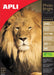Apli fotopapier Photo Bright ft A4, 240 g, pak van 20 vel - OfficeTown