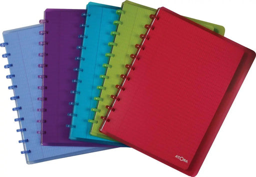 Atoma Trendy notitieboek, ft A4 +, 120 pagina's, commercieel geruit, met 6 tabbladen en 5 showtassen, in ge - OfficeTown