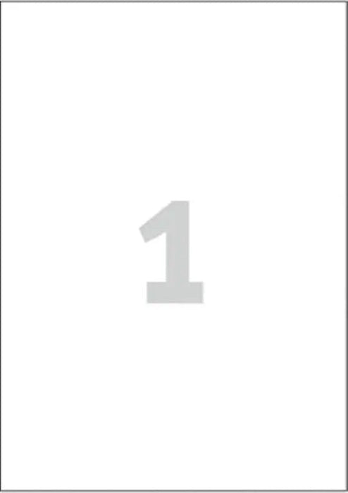 Avery Magneetetiketten ft 210 x 297 mm, verpakking van 5 stuks - OfficeTown