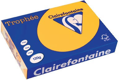 Clairefontaine Trophée Intens, gekleurd papier, A4, 120 g, 250 vel, zonnebloemgeel 5 stuks -> Clairefontaine Trophée Intens, gekleurd papier, A4, 120 g, 250 vel, zonnebloemgeel 5 stuks