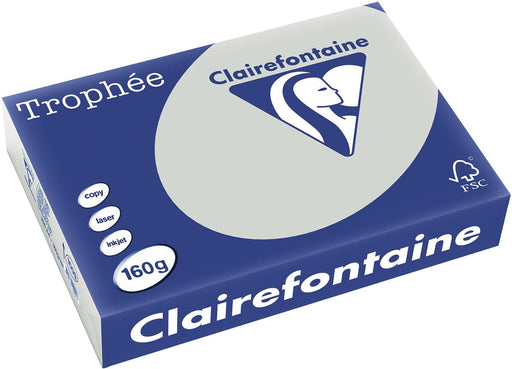 Clairefontaine Trophée Pastel, gekleurd papier, A4, 160 g, 250 vel, lichtgrijs 4 stuks, OfficeTown