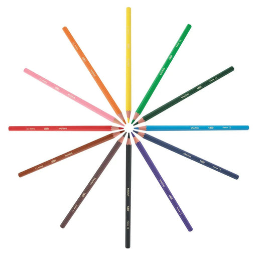 Bic Kids kleurpotlood Ecolutions Evolution, set van 12 stuks met kunstharspotloden - OfficeTown