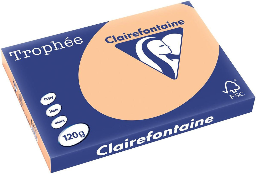 Clairefontaine Trophée Pastel, gekleurd papier, A3, 120 g, 250 vel, abrikoos - OfficeTown
