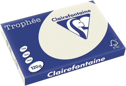 Clairefontaine Trophée Pastel, gekleurd papier, A3, 120 g, 250 vel, parelgrijs - OfficeTown