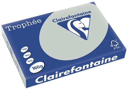 Clairefontaine Trophée Pastel, gekleurd papier, A3, 160 g, 250 vel, lichtgrijs - OfficeTown