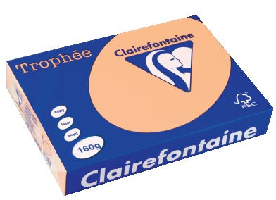 Clairefontaine Trophée Pastel, gekleurd papier, A4, 160 g, 250 vel, zalm 4 stuks, OfficeTown