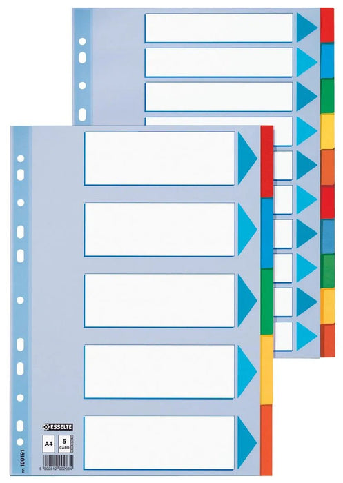 Esselte tabbladen 6 tabs - OfficeTown
