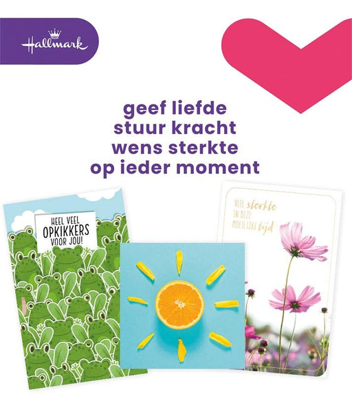 Hallmark navulset wenskaarten, beterschap/sterkte, pak van 12 stuks - OfficeTown