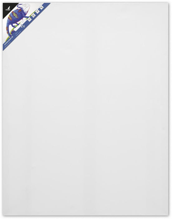 Kangaro opgespannen schildersdoek 3D, afmeting 70 x 90 cm, set van 2 stuks - OfficeTown