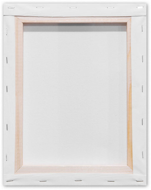 Kangaroo opgespannen canvasframe, afmeting 24 x 30 cm - OfficeTown