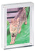 MAUL fotolijst van acryl 17.8x12.7x3cm met magnetische hoekverbinding - OfficeTown
