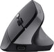 Trust Bayo II draadloze ergonomische muis, voor rechtshandigen - OfficeTown